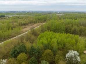 <p><strong>Wartość kontraktu:</strong> 69 560 642,00 PLN<br />
<strong>Wkład własny Województwa Podkarpackiego: </strong>4 560 642,00 PLN<br />
<strong>Dofinansowanie z Rządowego Funduszu Polski Ład: Program Inwestycji Strategicznych:</strong> 65 000 000,00 PLN<br />
<strong>Wykonawca:</strong> Konsorcjum firm ANTEX II Sp. z o.o. i Wysowa Mosty Sp. z o.o<br />
<strong>Data podpisania umowy:</strong> 3.10.2023 r.<br />
<strong>Termin realizacji:</strong> 03.06.2027 r.</p>

<p>Zadanie realizowane w systemie "zaprojekuj i wybuduj".</p>
